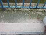 fotó