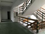 fotó
