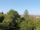 fotó