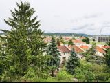 fotó