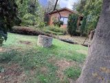 fotó